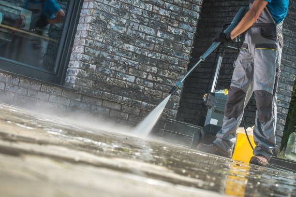 Best Graffiti Removal Services in Paden City, WV