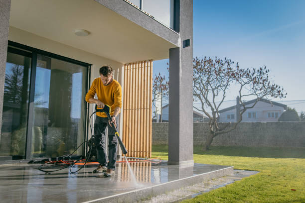 Best Soft Washing for Delicate Surfaces in Paden City, WV